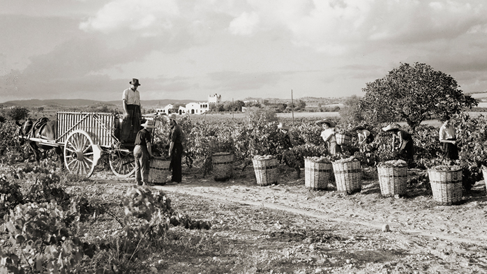 Finca antiga de les Caves Nadal