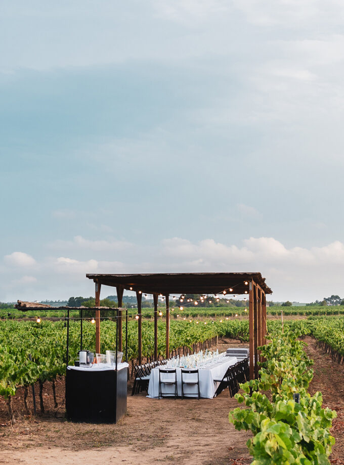 sopar temàtic entre vinyes
